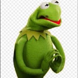 Meet your Posher, Maya